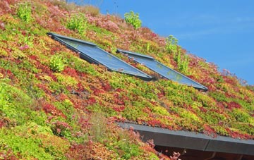 Abbey St Bathans living roof systems